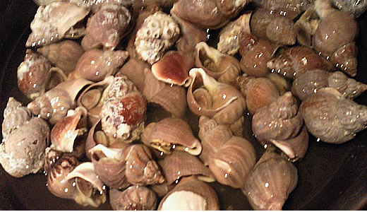 つぶ貝の漁師煮 つぶ貝の漁師煮