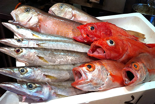 新鮮魚が勢揃いっ！！