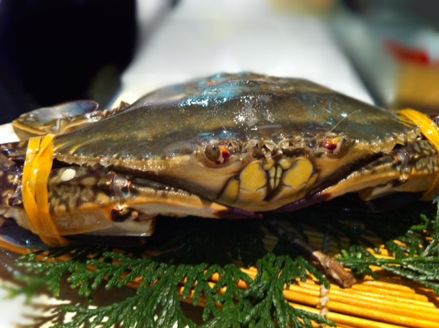 山口県産　ワタリガニ