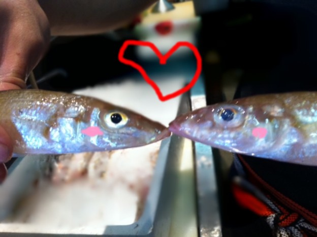 野北産　「きす」はＫＩＳＳの味