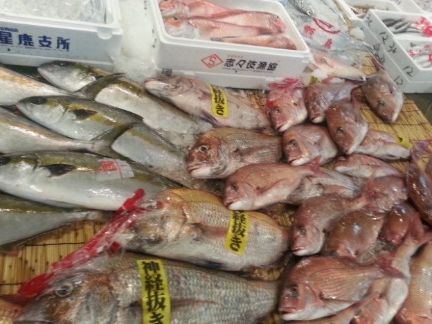 お魚ランキング　10月編