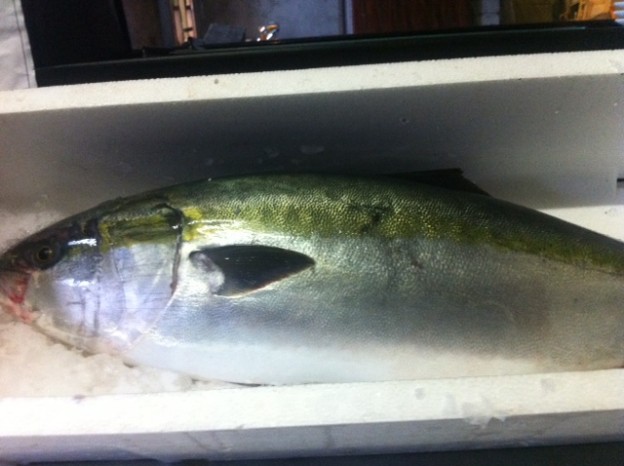 このお魚が美味しい季節です！