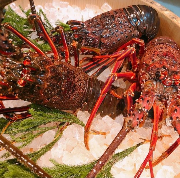 伊勢海老ございます🦐