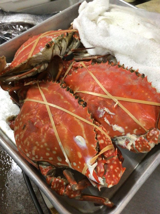 カニ蟹かに🦀